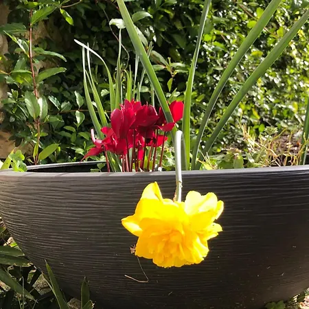 Le Merlat Casa de Férias