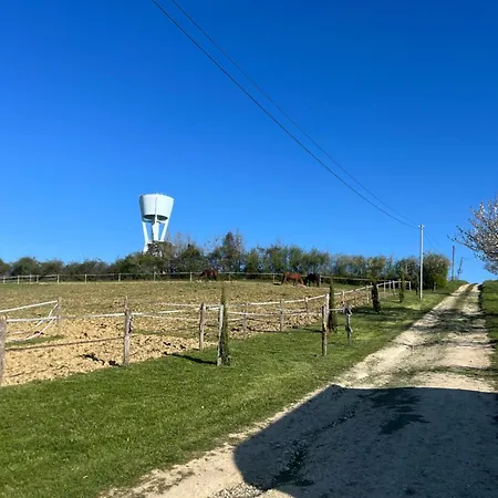 Le Merlat Beaucaire (Gers)