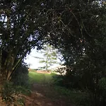 Le Merlat * Beaucaire