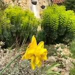 Le Merlat Nyaraló *