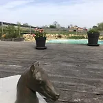 Le Merlat * Beaucaire