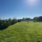 Le Merlat * Beaucaire