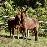 Prázdninový dům Le Merlat Beaucaire (Gers)