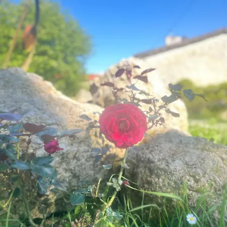 Le Merlat 펜션 Beaucaire (Gers)