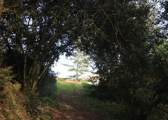 Le Merlat * Beaucaire (Gers)