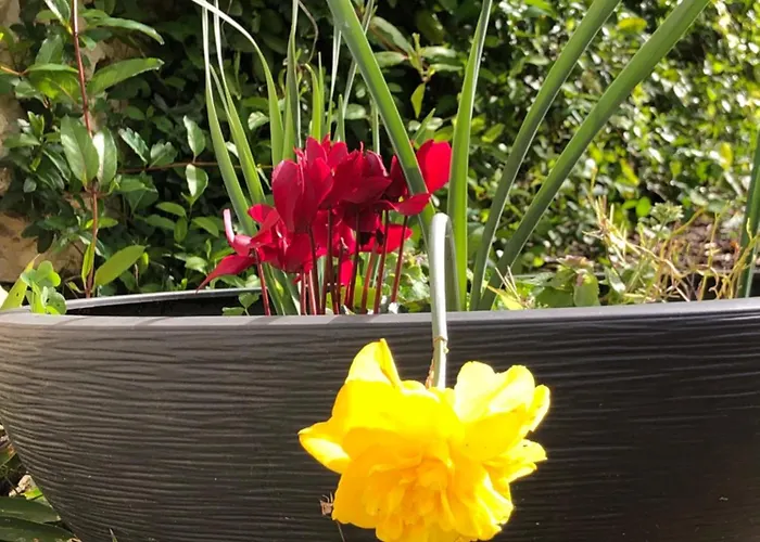 Le Merlat בית נופש