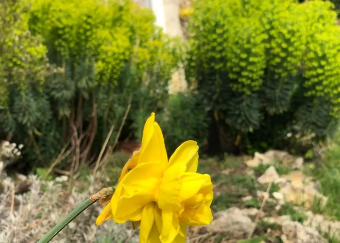 Le Merlat בית נופש *