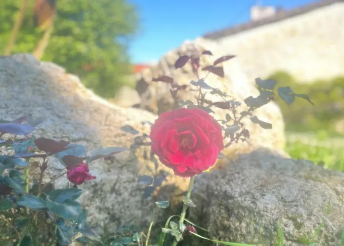 Le Merlat בית נופש Beaucaire (Gers)