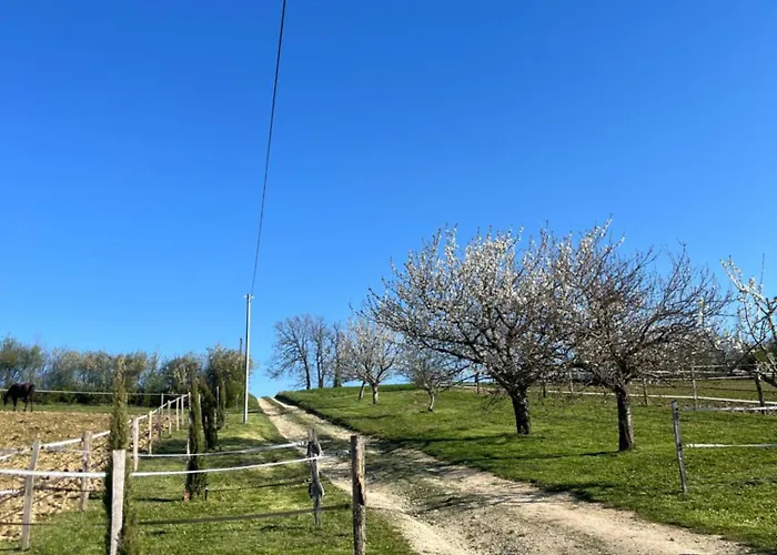 Le Merlat Vakantiehuis *